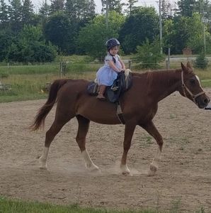 Meet your Posher, Pamela